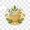 Ayurvedic Formula