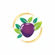 Rich in Antioxidants